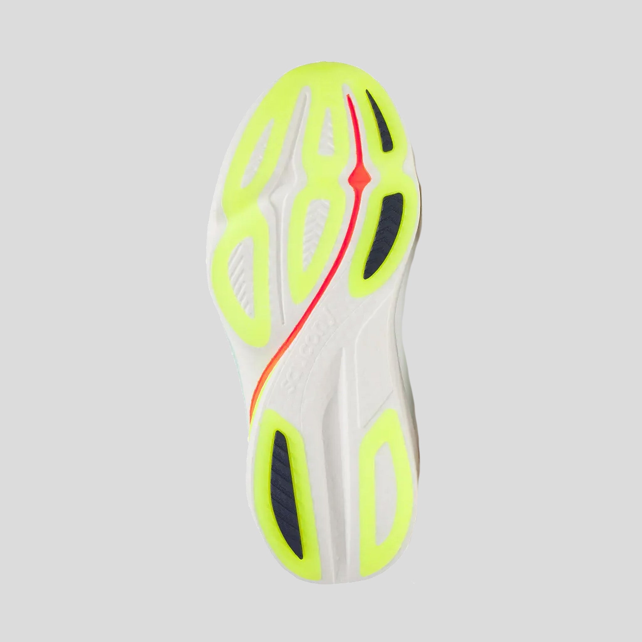 Women's Endorphin Azura | White/Splash